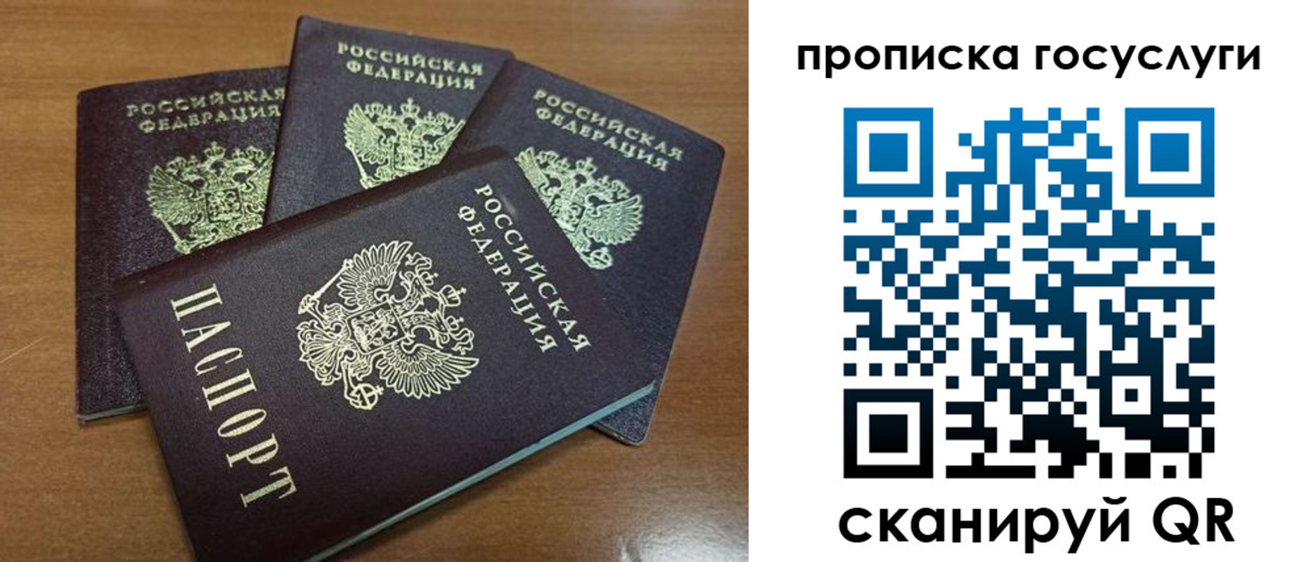прописка 2025 в Щиграх