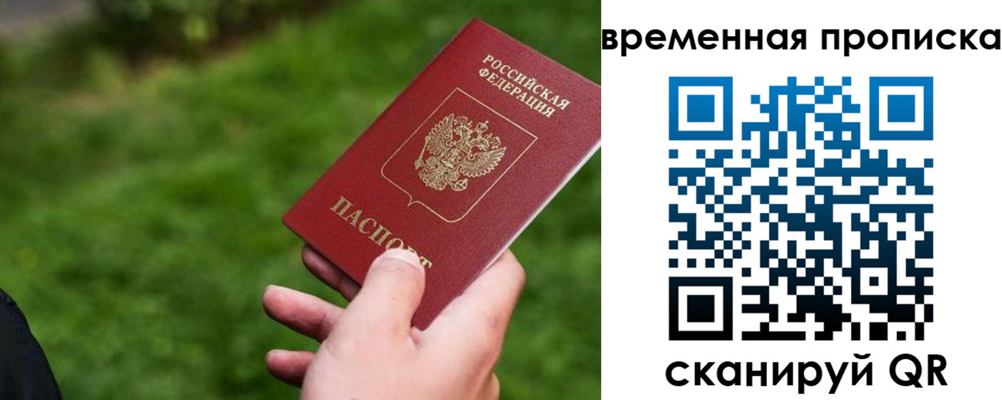 прописка 2025 в Щиграх